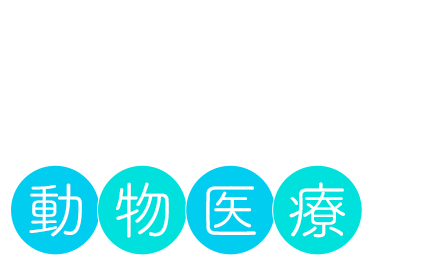 日頃から気軽に通える場所