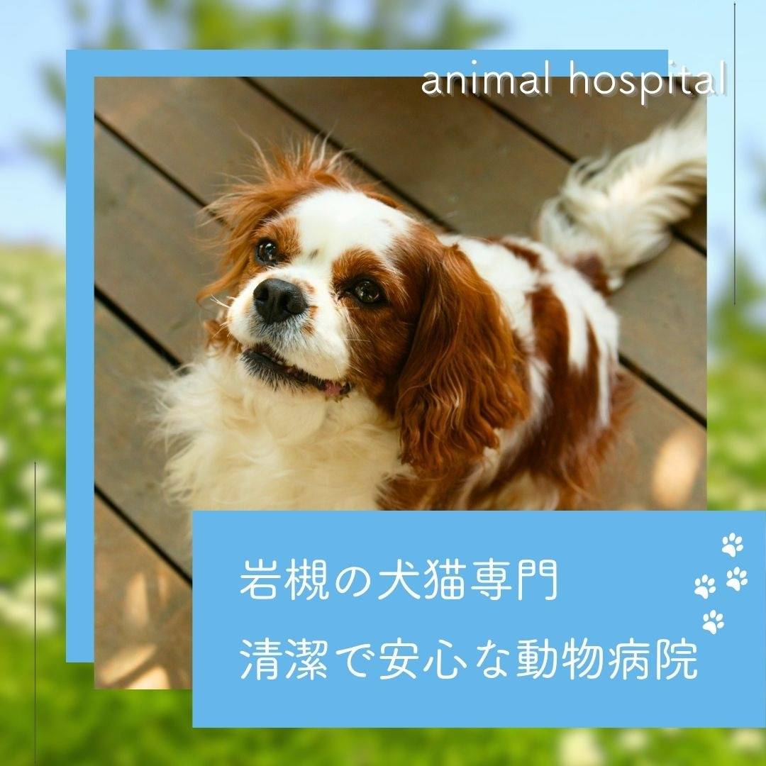 popup_banner