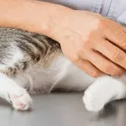 健康診断