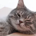 アクセス
